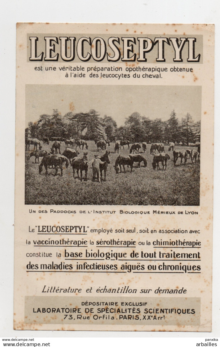 Préoblitéré Sur Carton Illustré. Leucoseptyl Pour Linxe.Illust: Paddocks Institut Merieux A Lyon. - Sonstige & Ohne Zuordnung