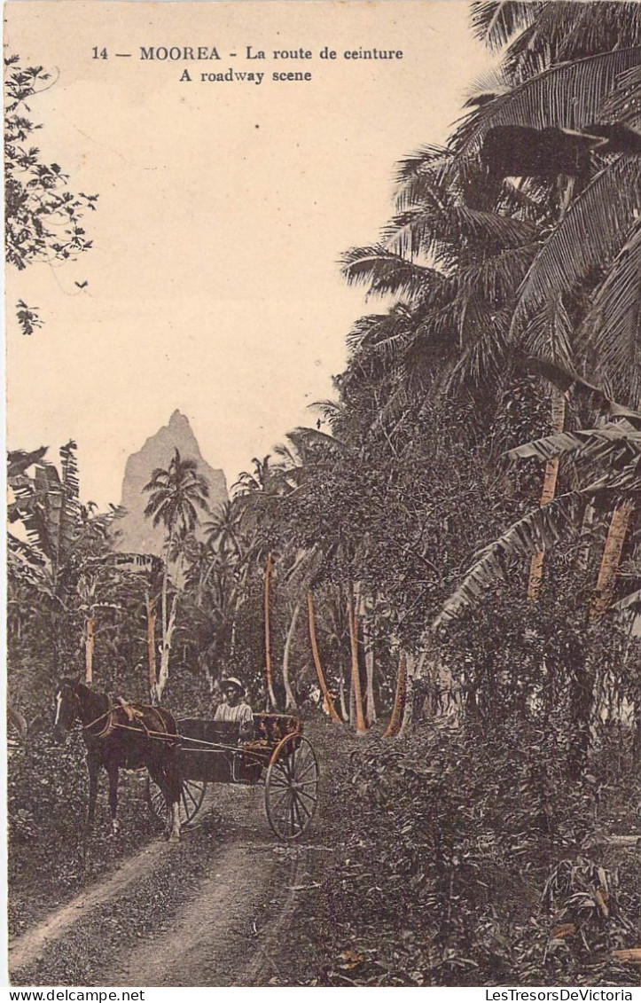 Polynésie Française - Moorea - La Route De Ceinture - A Roadway Scene - Colorisé - Attelage -  Carte Postale Ancienne - French Polynesia