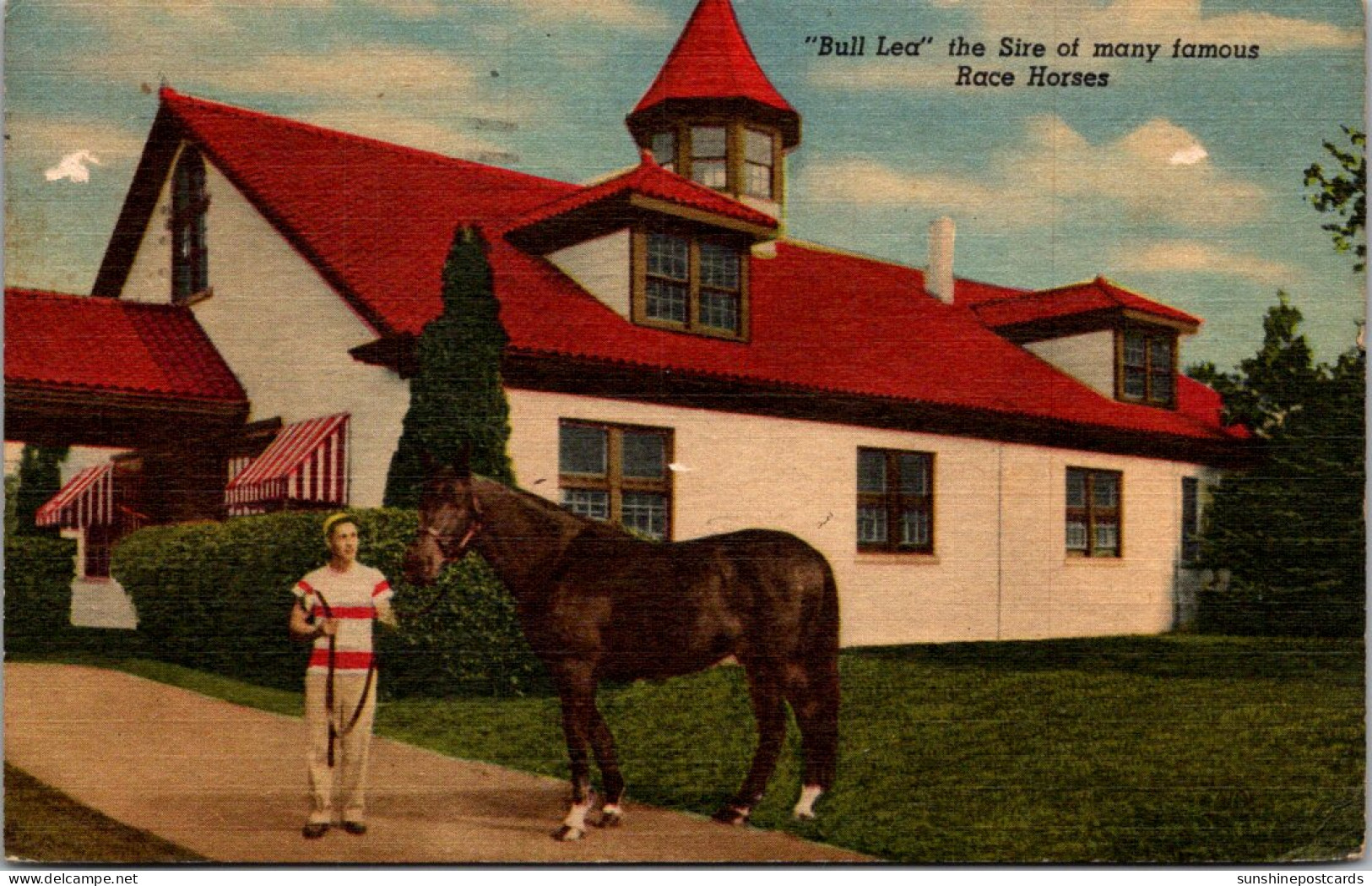 Kentucky Lexington Calumet Farm "Bull Lea" Sire Of Many Famous Race Horses 1956 Curteich - Lexington