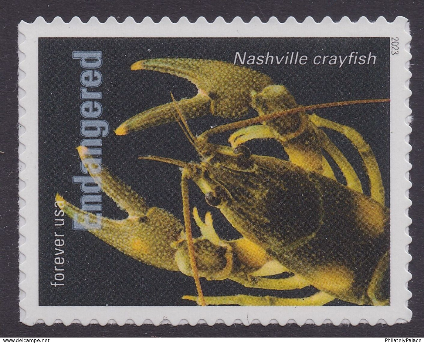 USA New ** 2023 Endangered Species, Reptile,Snake,Fish,Parrot,Frog,Rat,Rabbit,Bird,Panther,Wolf,Quail,20v MNH (**)