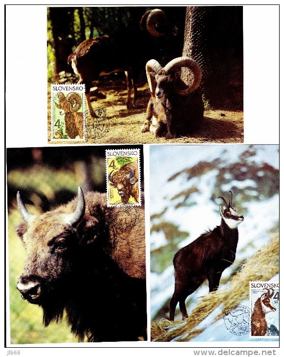 3 Cartes Maximum  Animaux 1996   Mouflon Buffle Bison - FDC