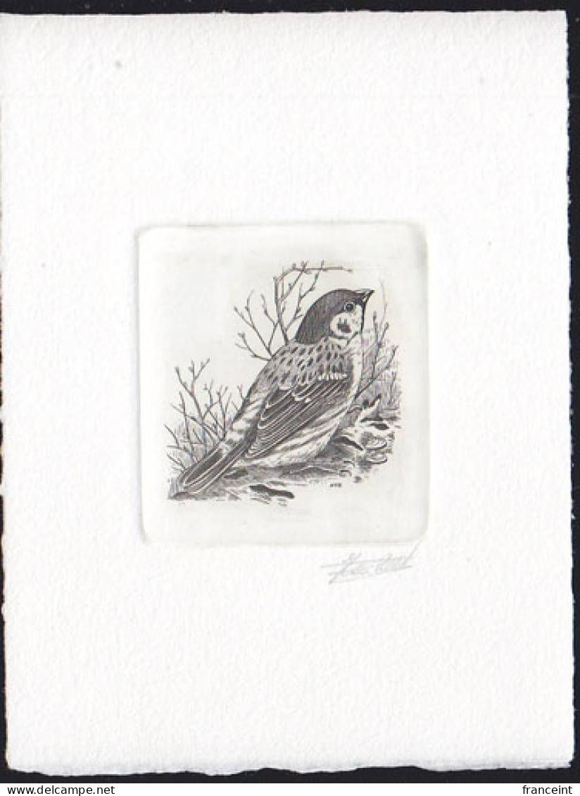 BELGIUM(1989) Eurasian Tree Sparrow (Passer Montanus). Die Proof In Black Signed By The Engraver. Scott No 1218. - Proofs & Reprints