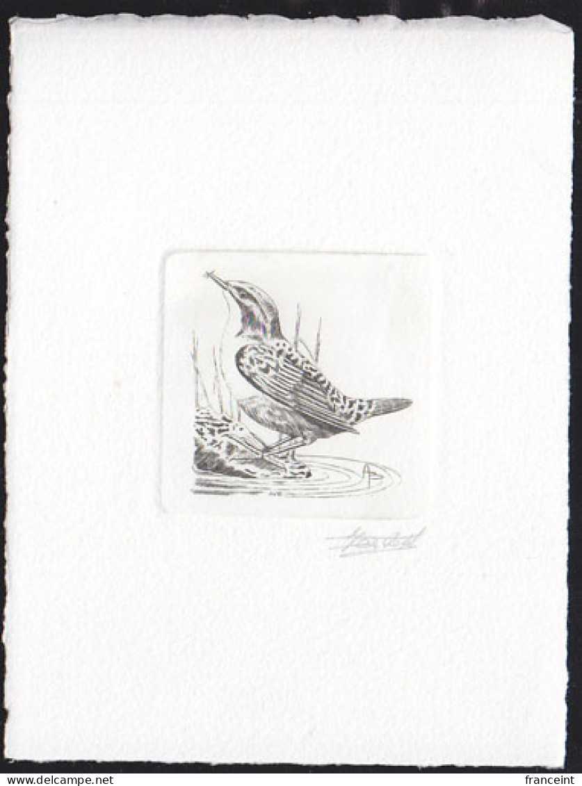 BELGIUM(1992) White-throated Dipper (Cinclus Cinclus). Die Proof In Black Signed By The Engraver. Scott No 1440. - Proofs & Reprints