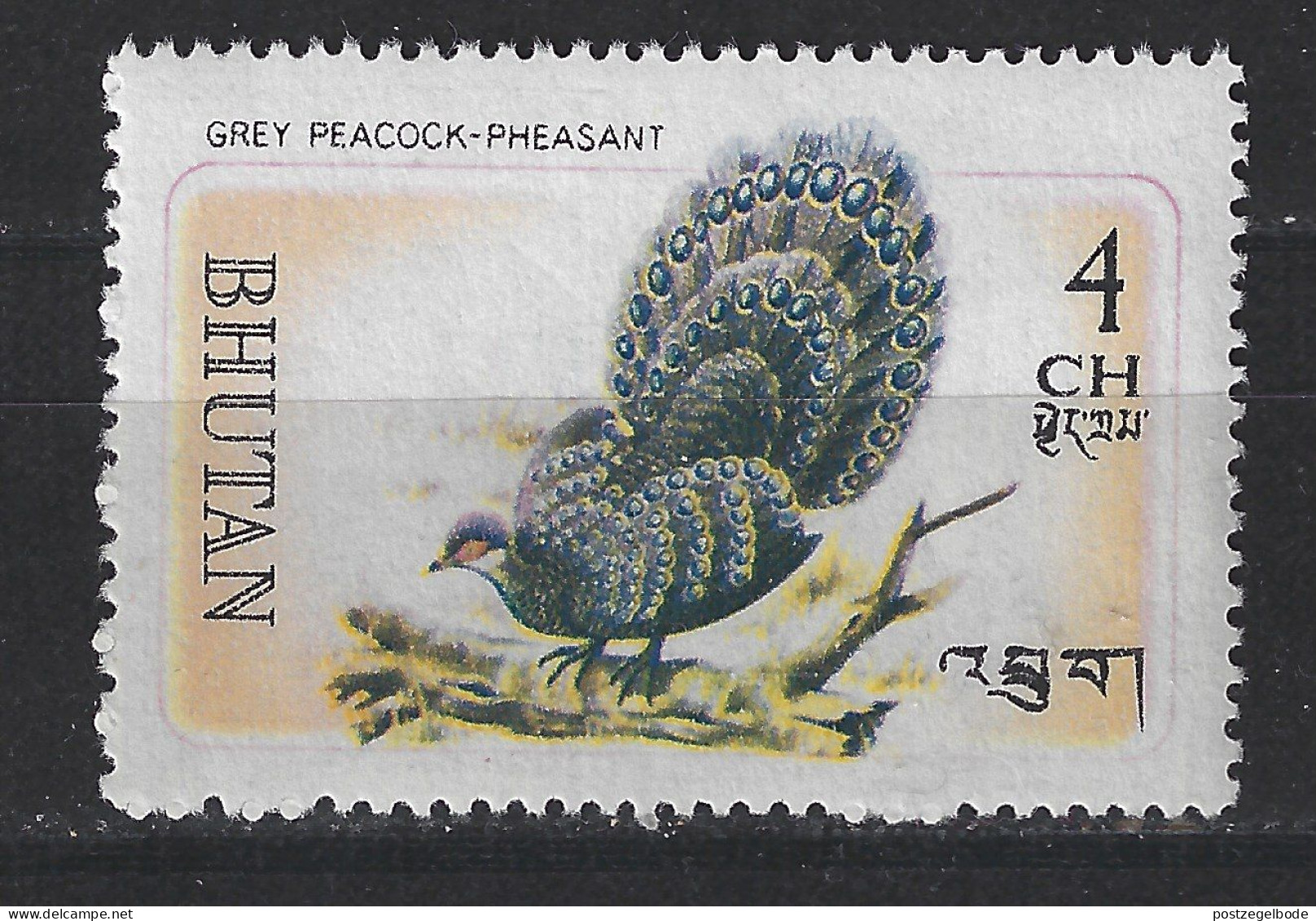 Bhutan Bhoetan MLH ; Pauw Grey Peacock Paon Peafowl Vogel Bird Ave Oiseau - Pfauen