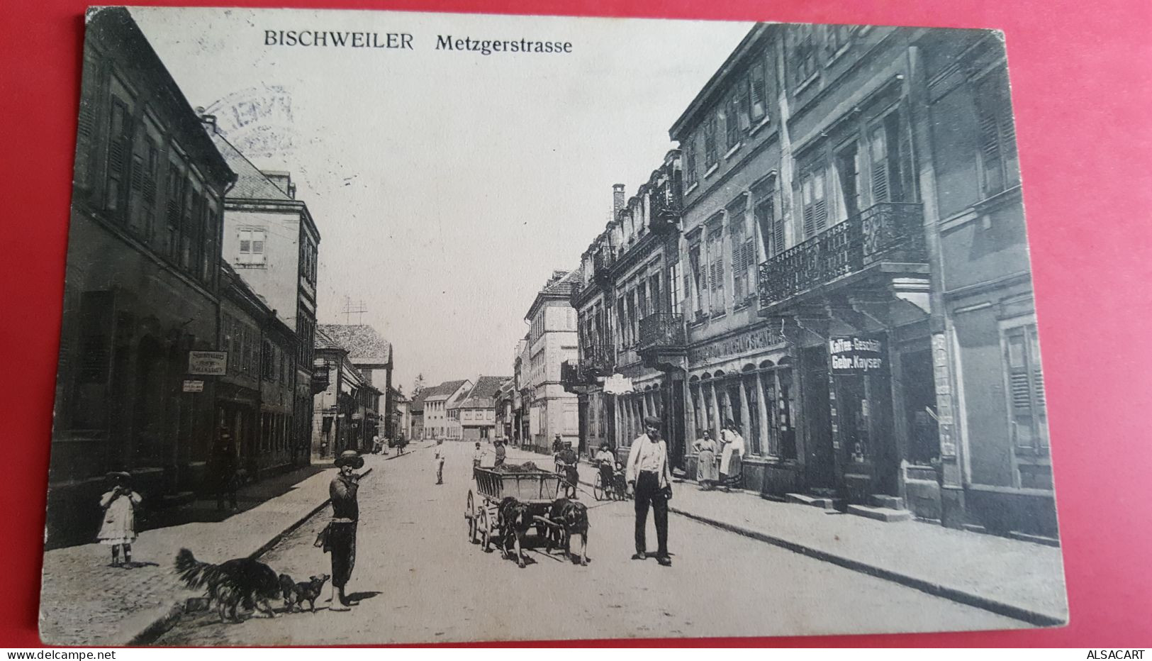 Bischwiller Attelage De Chiens , Rue Des Bouchers - Bischwiller