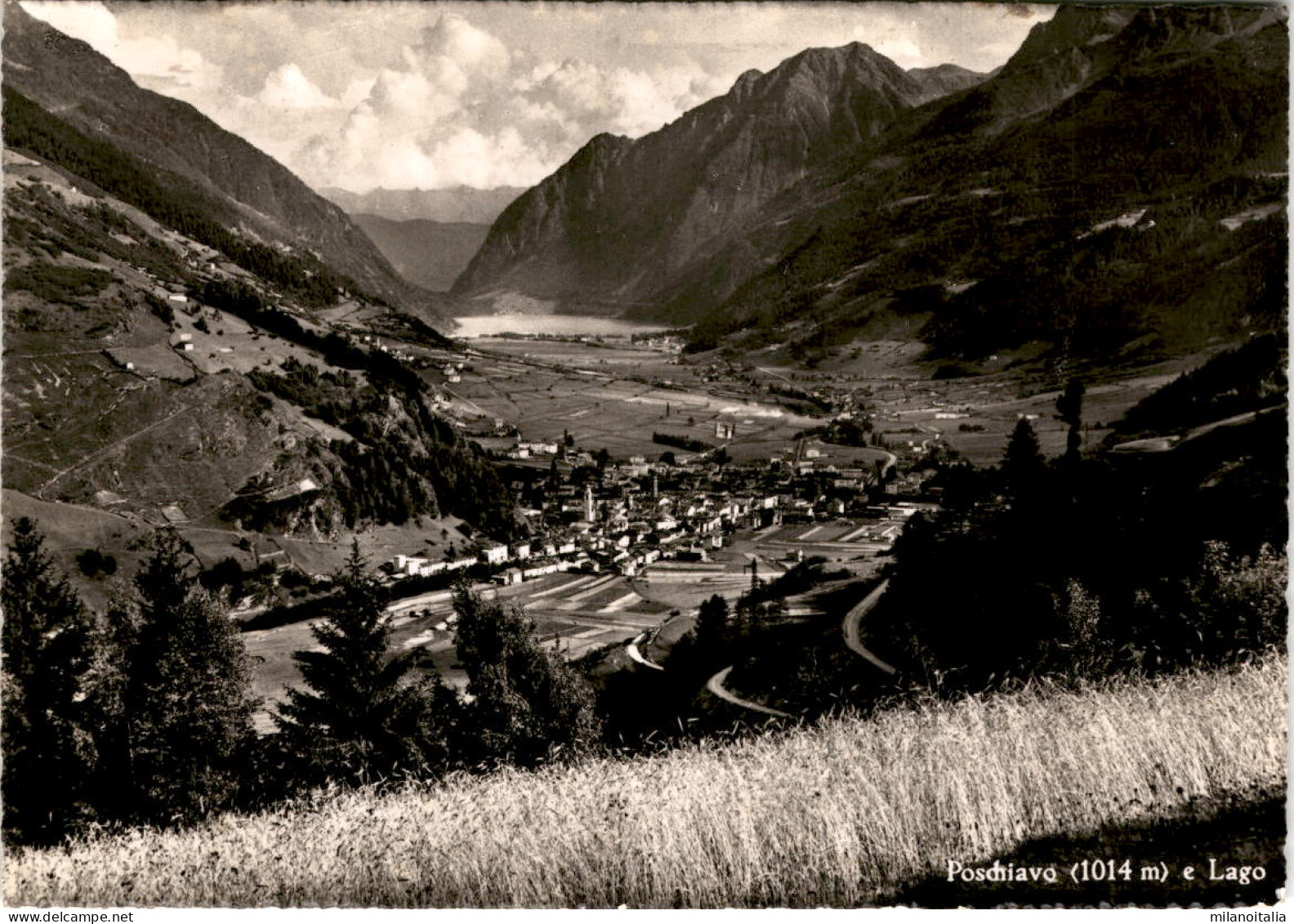 Poschiavo E Lago (8554) - Poschiavo