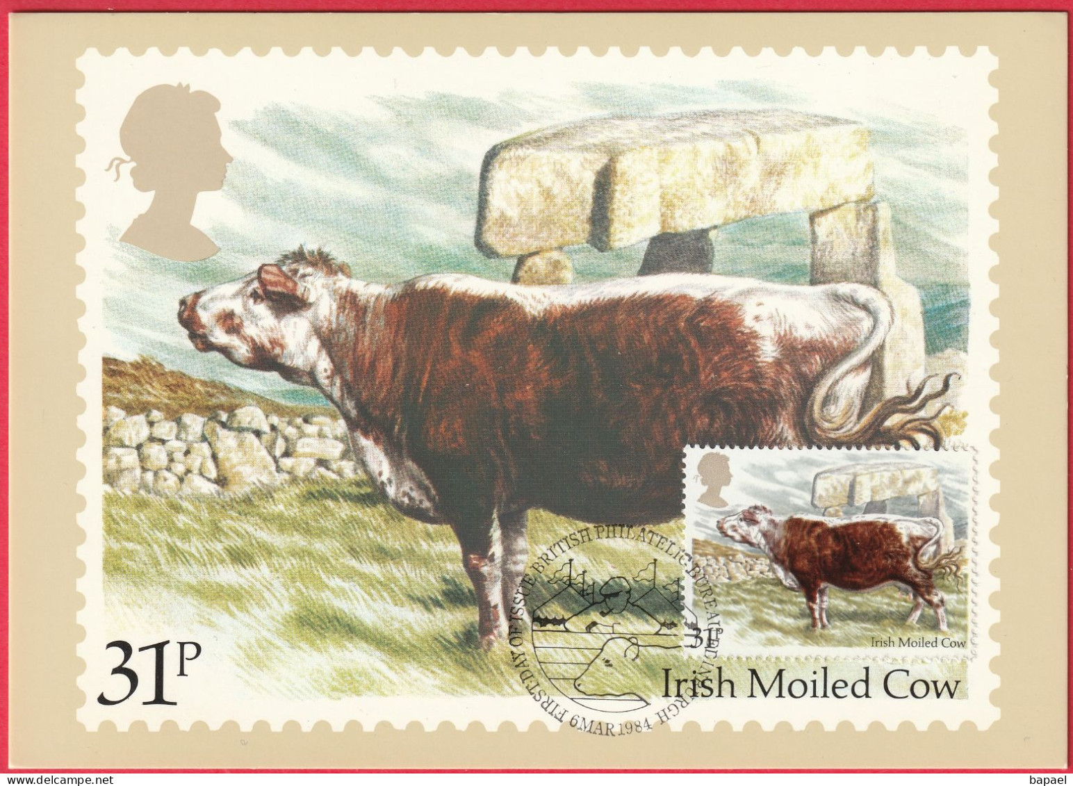 Carte Maximum (FDC) - Royaume-Uni (Écosse-Édimbourg) (6-3-1984) - Vache Moiled Irlandaise (Recto-Verso) - Maximum Cards