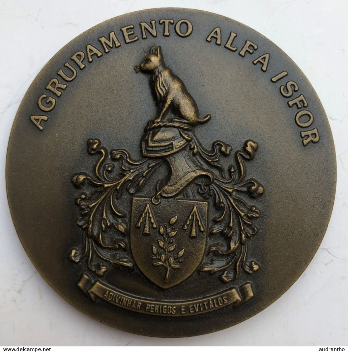 Médaille Militaire Portugal - Agrupamento Alfa ISFOR Sarajevo Bosnie Herzegovine 1998 - Força Aérea Portuguesa - Autres & Non Classés