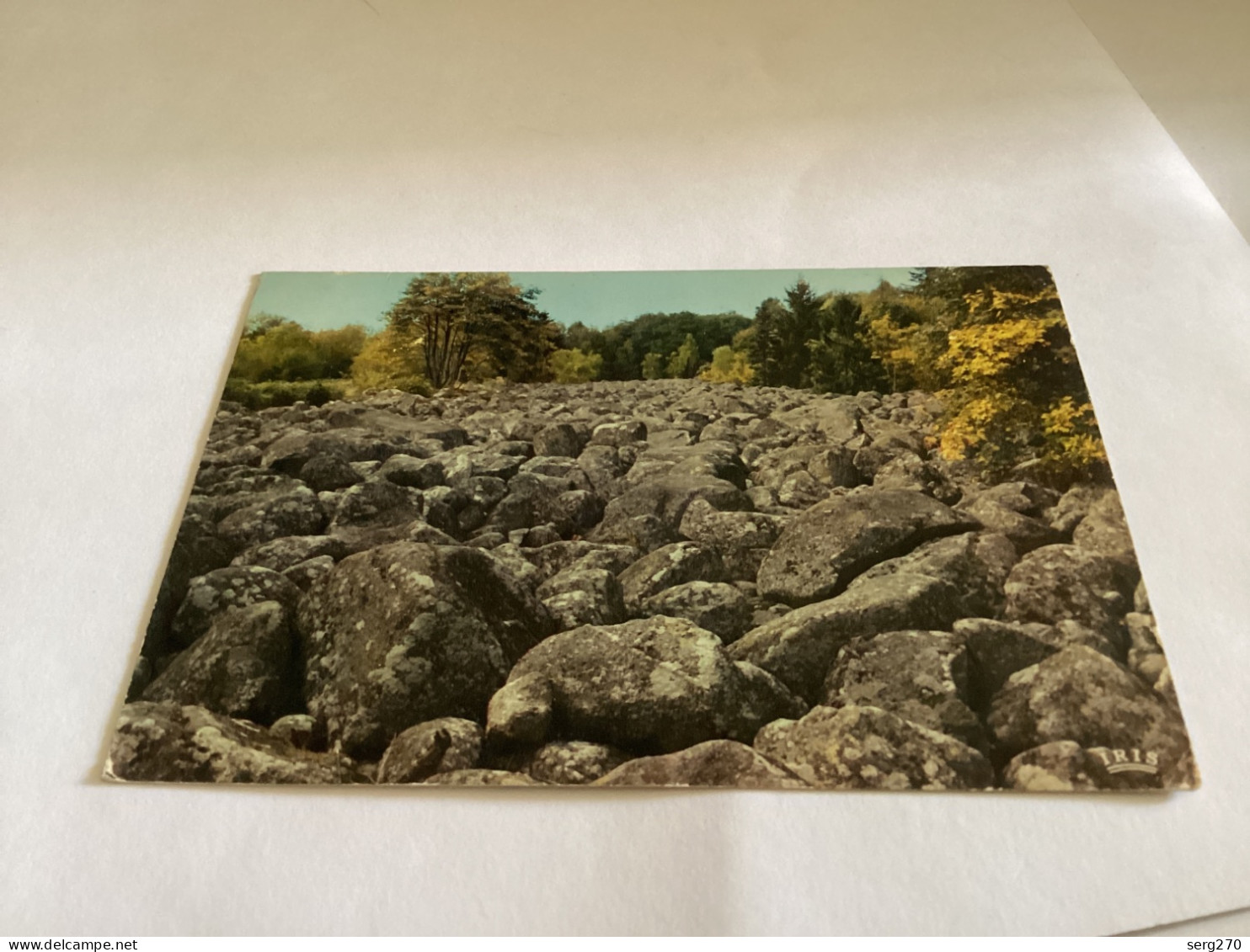 88.035.01 - CURIOSITE VOSGIENNE Champ De Roches à BARBEY - SEROUX Près De Granges-sur-Vologne - Granges Sur Vologne