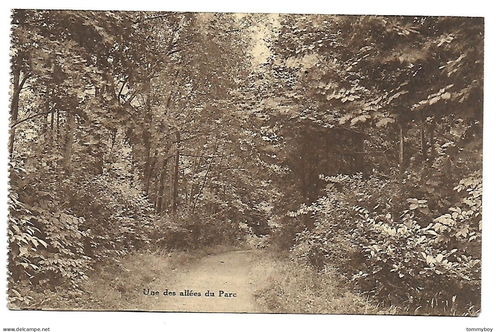 CPA St-Genesius-Rode, Une Des Allées Du Parc, Home De Repos Pour Institutrices, Petite Espinette - Rhode-St-Genèse - St-Genesius-Rode