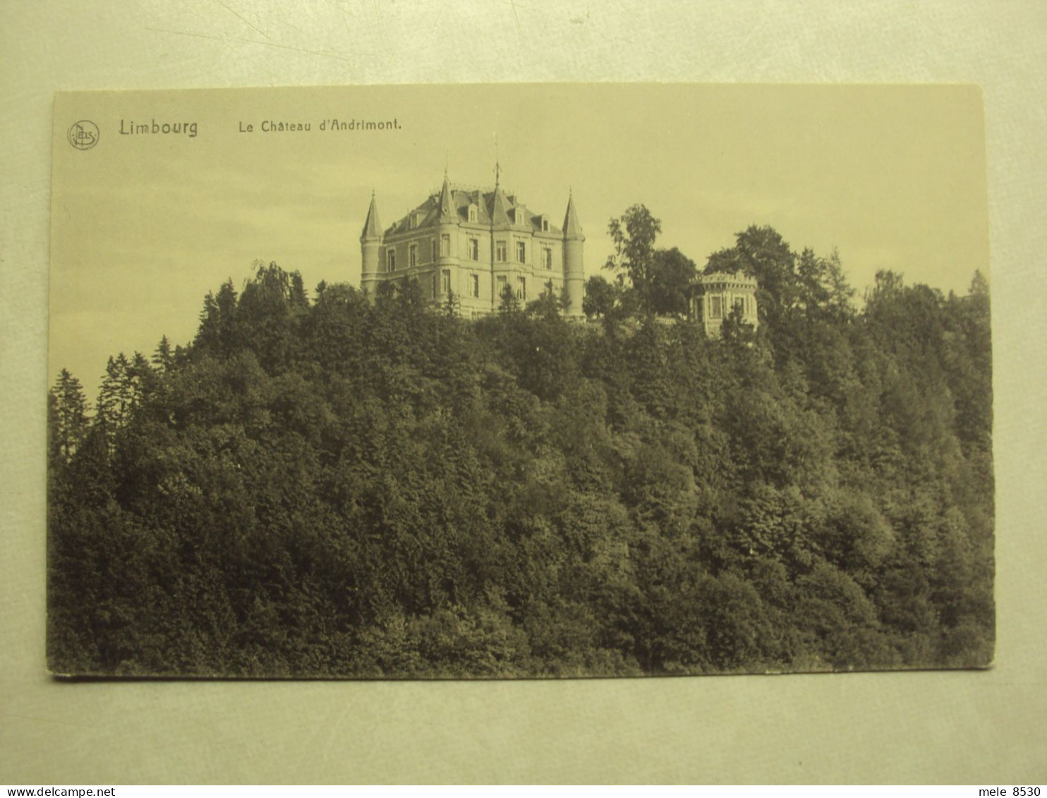 48830 - LIMBOURG - LE CHATEAU D'ANDRIMONT - ZIE 2 FOTO'S - Limbourg