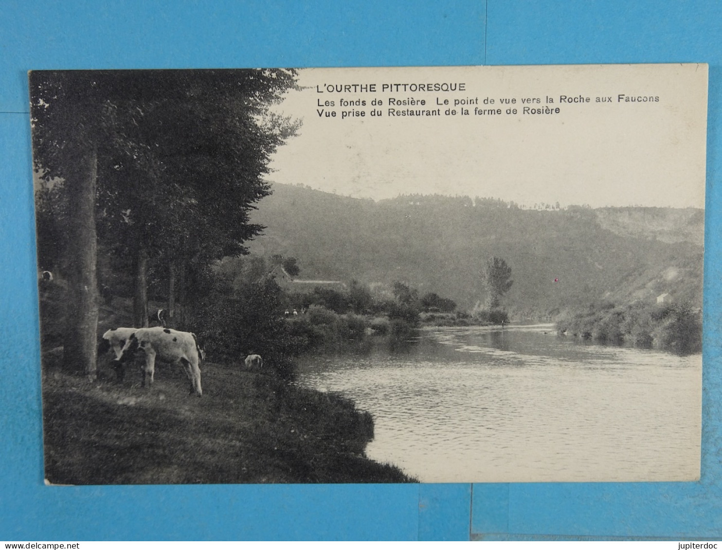 L'Ourthe Pittoresque Les Fonds De Rosière Le Point De Vue Vers La Roche Aux Faucons Vue Prise Du Restaurant De La Ferme - Vaux-sur-Sure