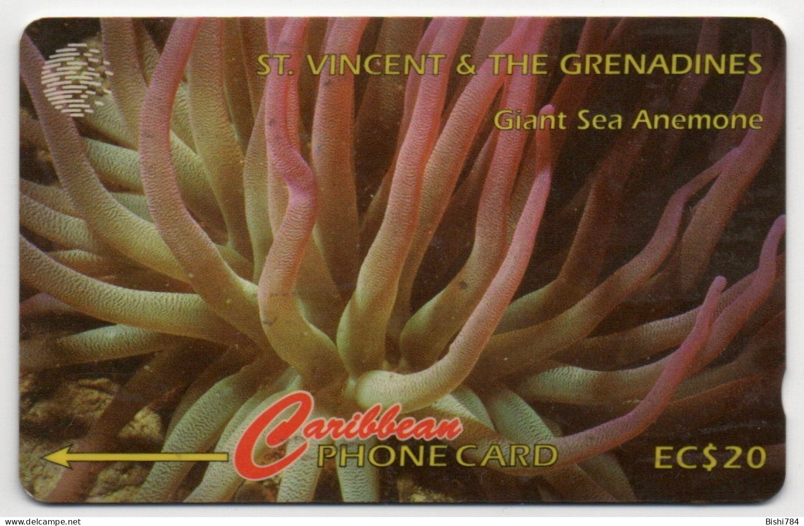 St. Vincent & The Grenadines - Giant Sea Anemone - 142CSVC - St. Vincent & The Grenadines