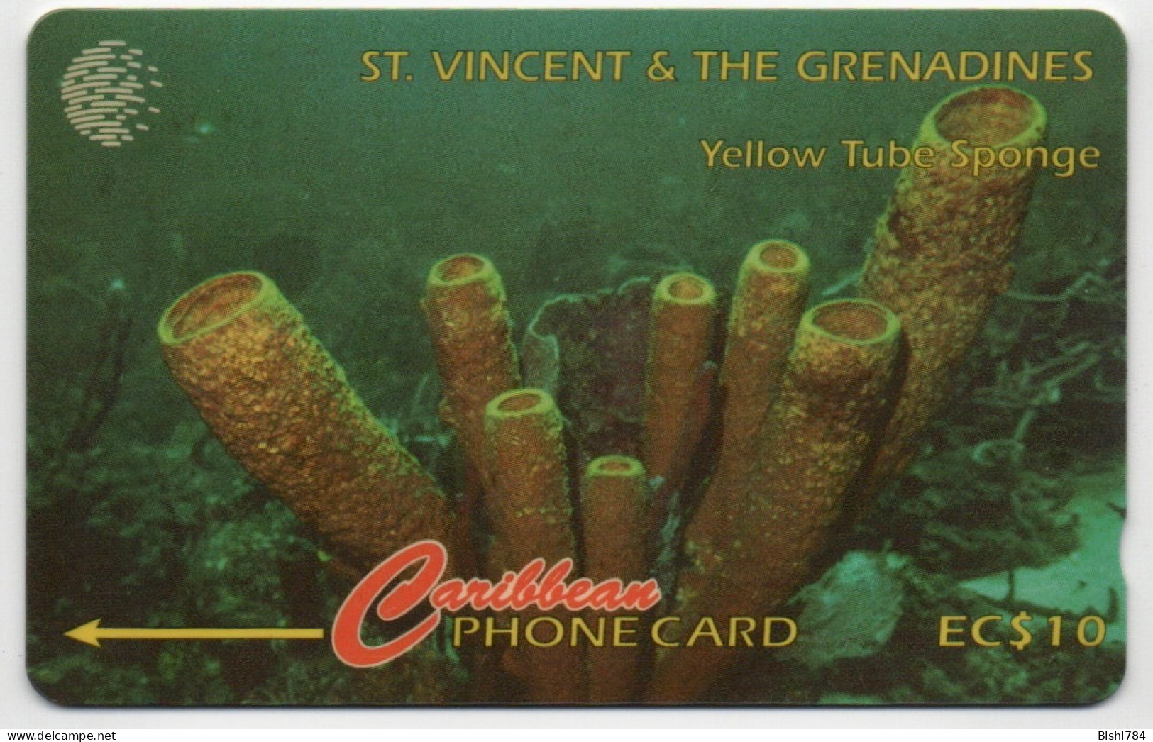 St. Vincent & The Grenadines - Yellow Tube Sponge - 142CSVB (small Font) - St. Vincent & The Grenadines