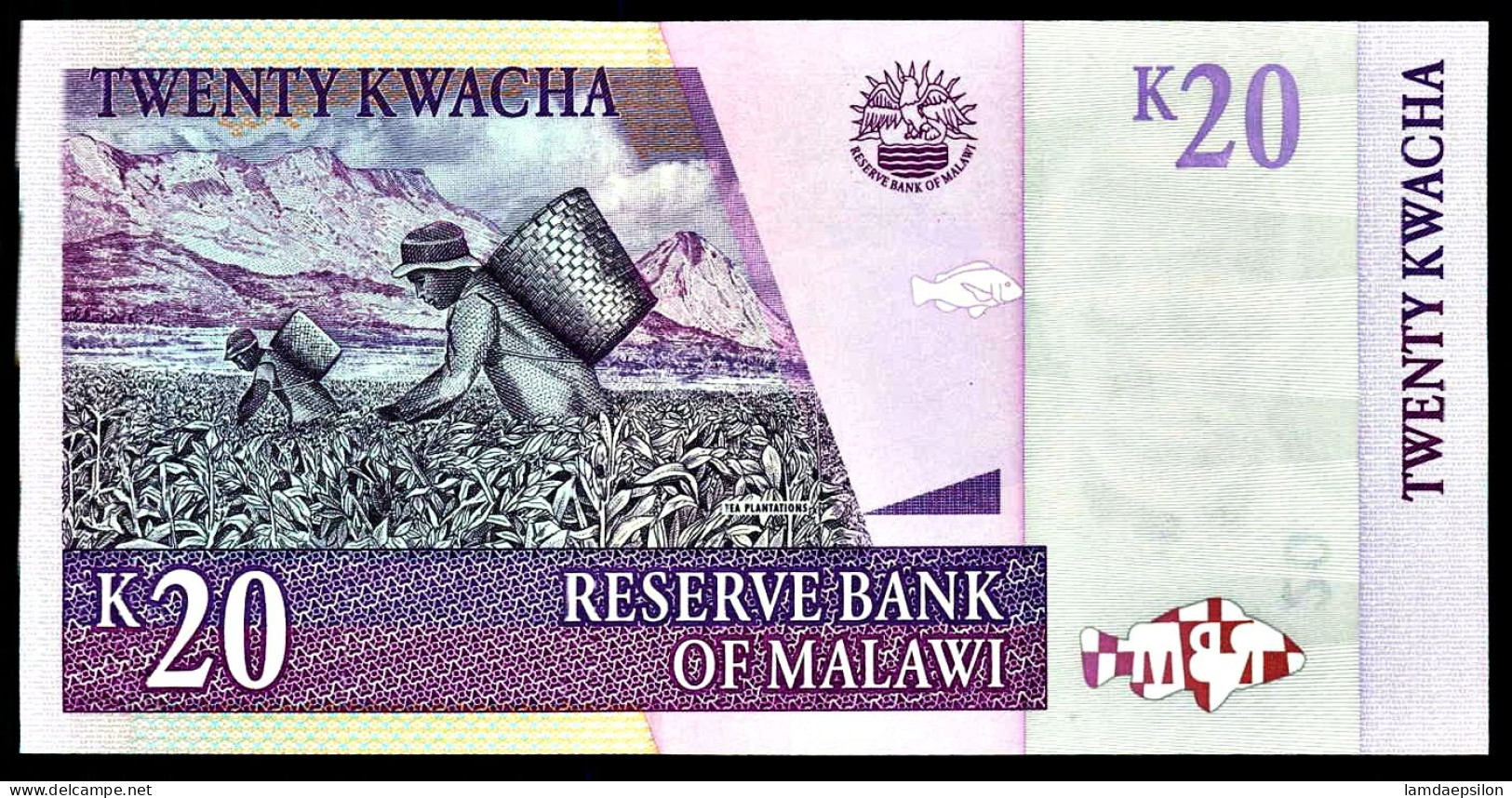 A8 MALAWI   BILLETS DU MONDE   BANKNOTES  20 KWACHA  1985 - Malawi