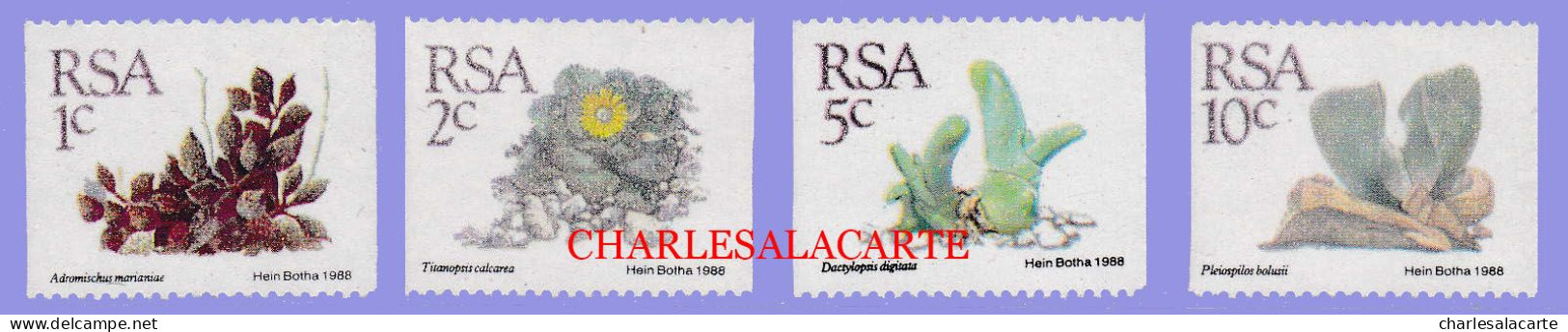 SOUTH AFRICA  1988  DEFINITIVES  CACTI  COIL STAMPS   U.M. - Neufs