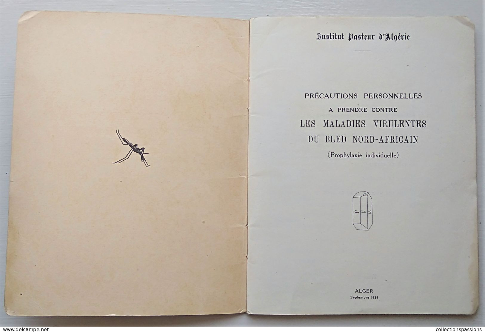 - Livret. Institut Pasteur D'Algérie. Les Maladies Virulentes Du Bled Nord Africain - - Autres & Non Classés