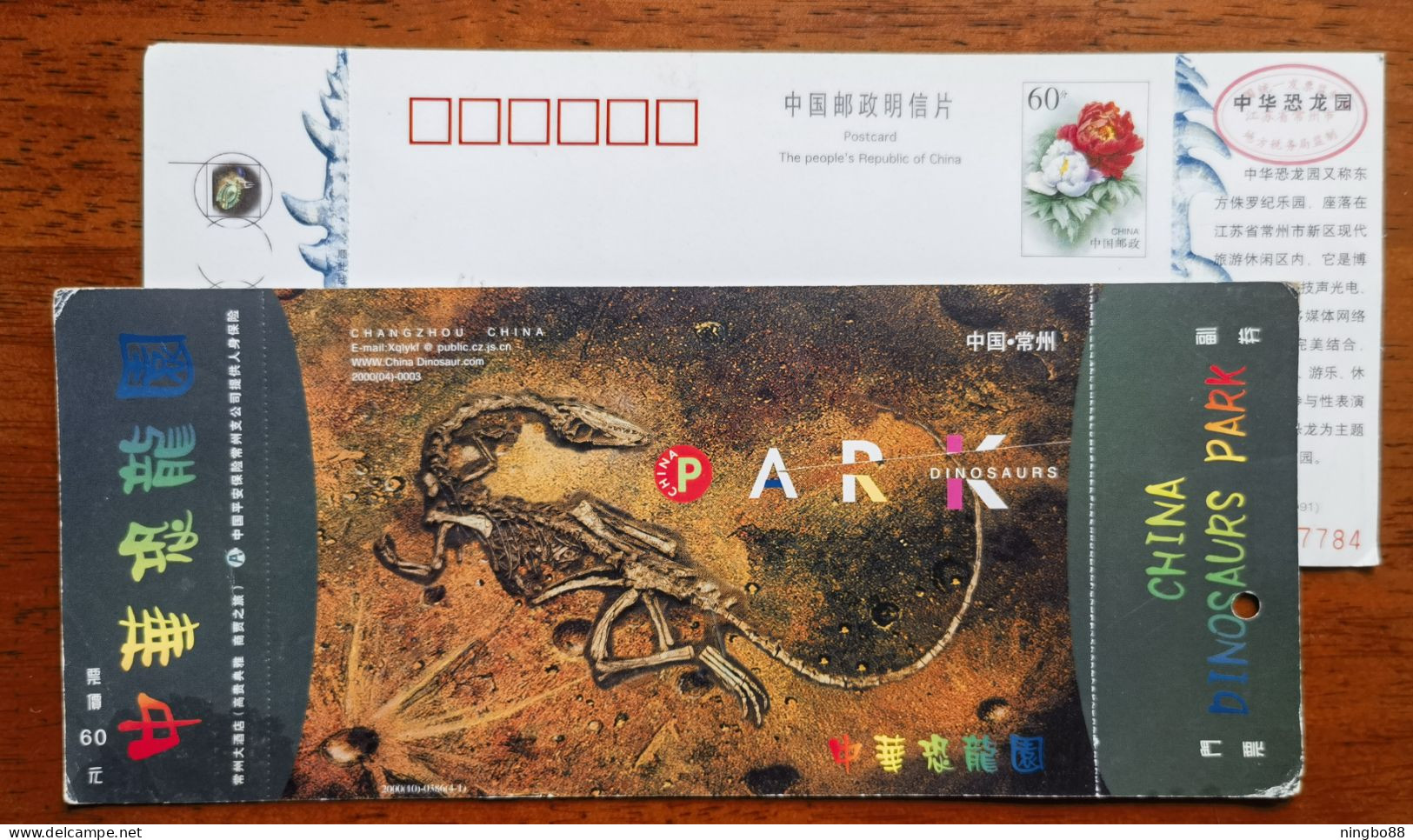 Dinosaur Bone Fossil,China 2000 Changzhou Dinosaur Park Admission Ticket Advertising Pre-stamped Card - Fossilien