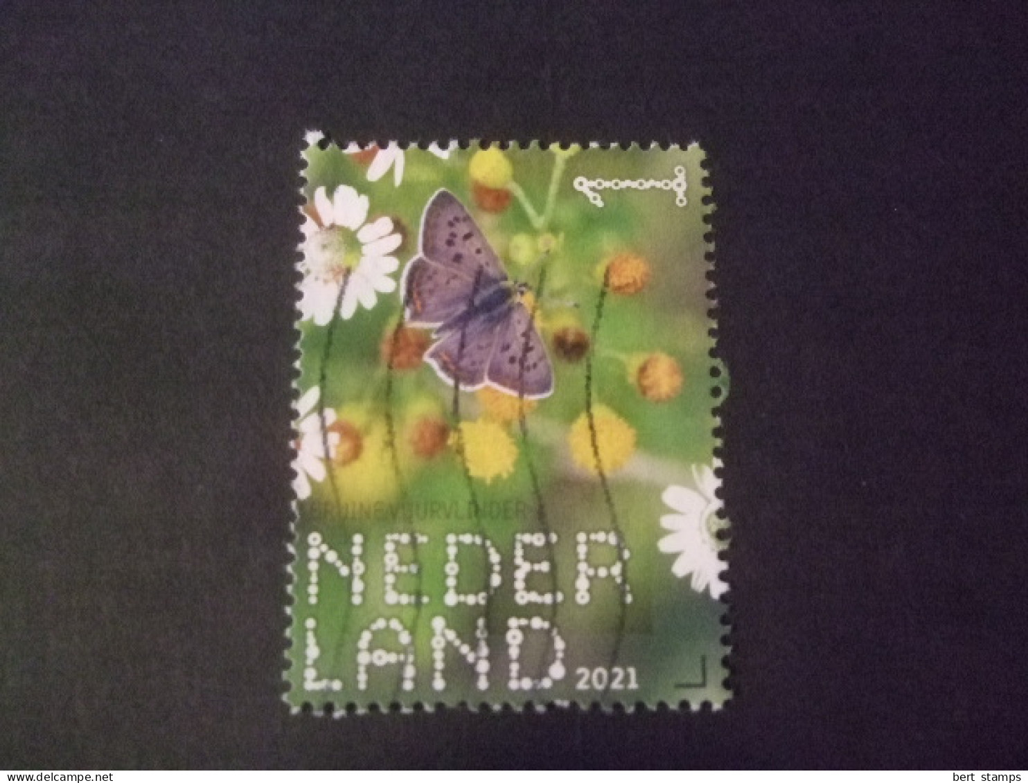 Nederland Beleef De Natuur Gebruikt 3919 Bruine Vuurvlinder - Used Stamps