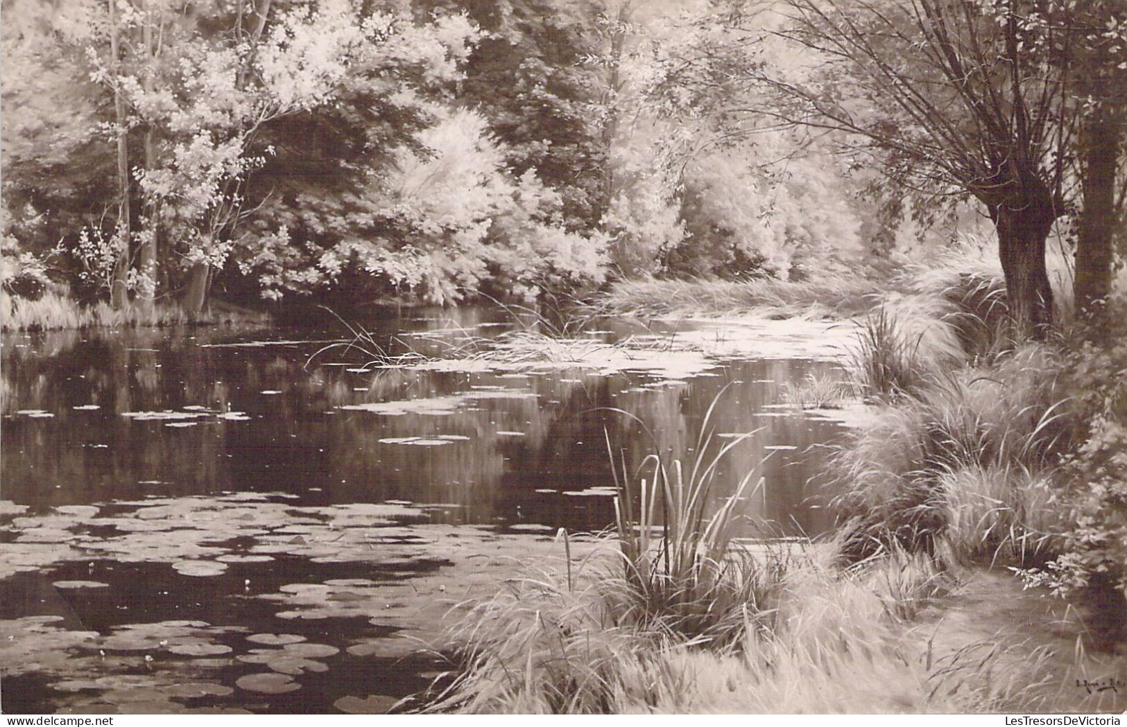 ART - René HIS - Rivière En Bourgogne - Carte Postale Ancienne - Paintings