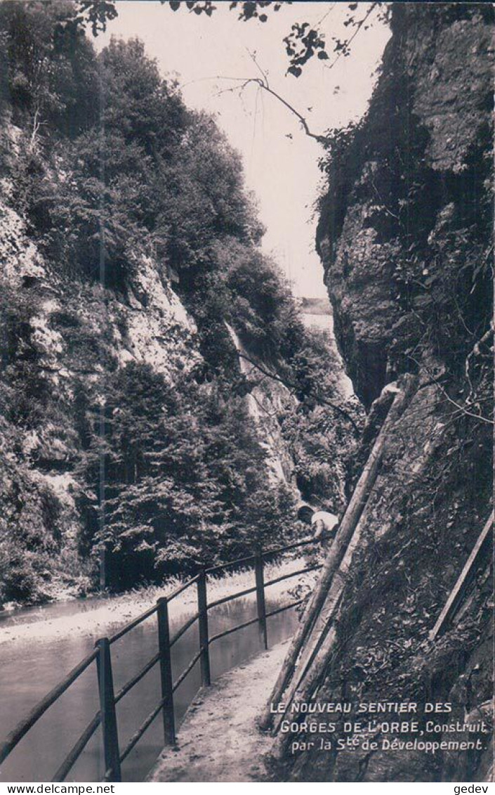 Orbe VD, Le Nouveau Sentier Des Gorges De L'Orbe (5035) - Orbe