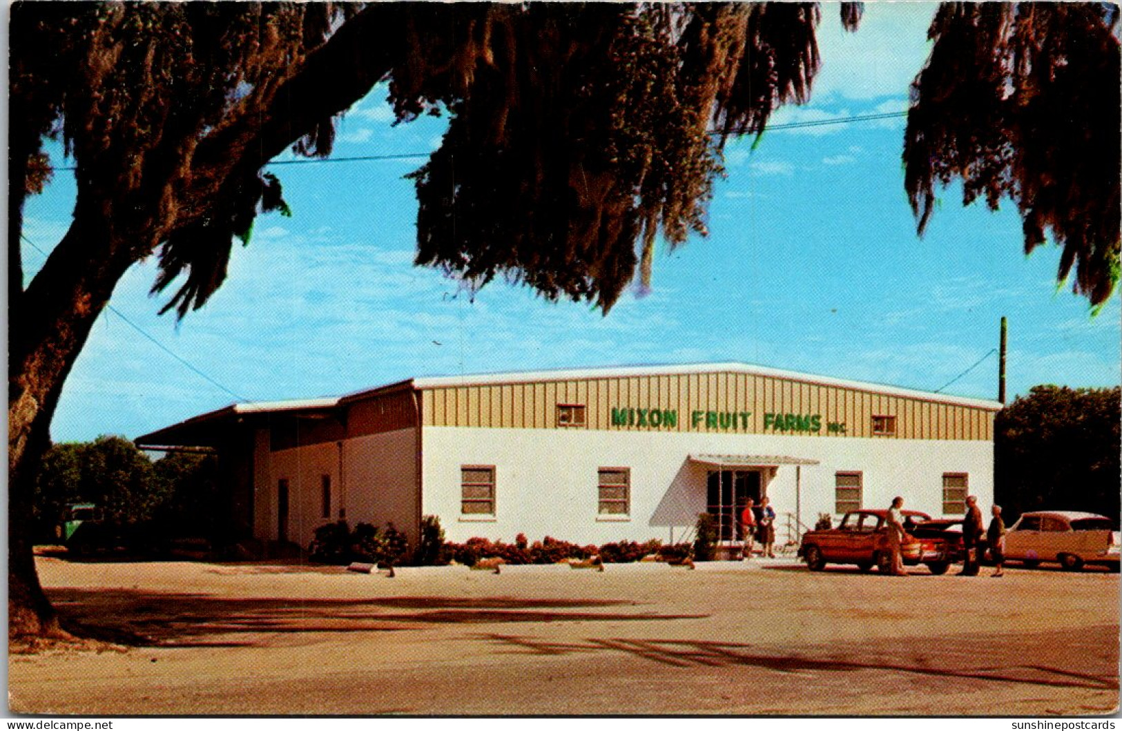 Florida Bradenton Mixon Fruit Farms Citrus Fruit - Bradenton