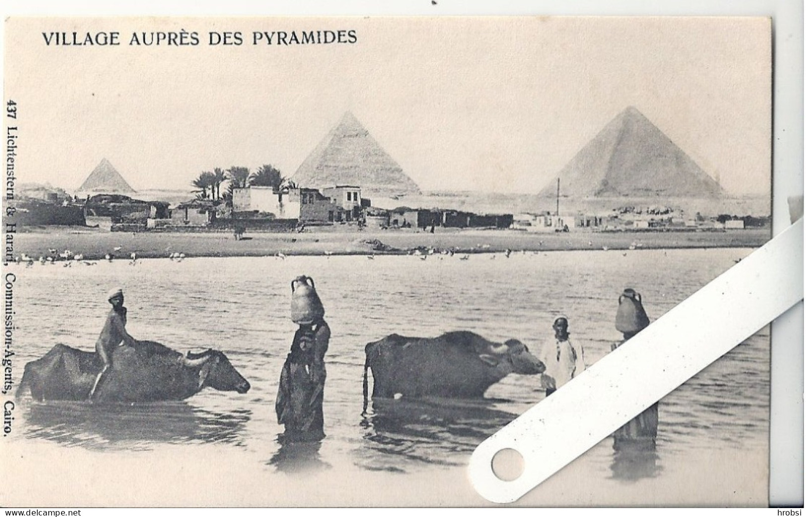 Egypte Village Auprès Des Pyramides Pyramides, Ed Lichtenstern & Harari 437, Animation - Pyramids