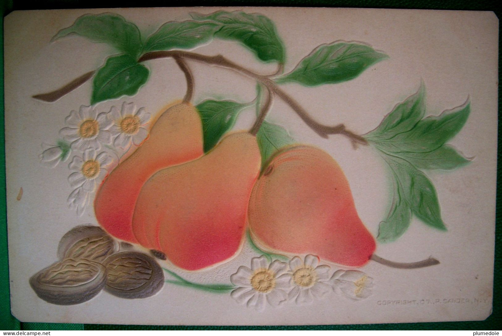 Cpa   Gaufrée Fruits POIRES NOIX , Fleurs MARGUERITES , 1907 , Embossed PEARS & NUTS  OLD PC - Heilpflanzen