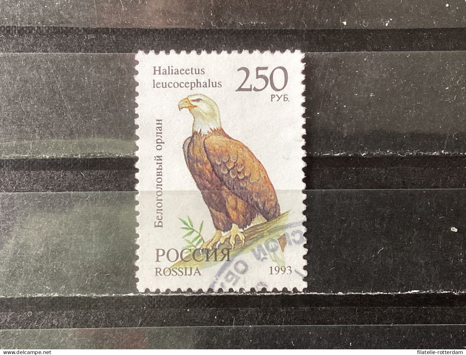 Russia / Rusland - Birds (250) 1993 - Gebraucht