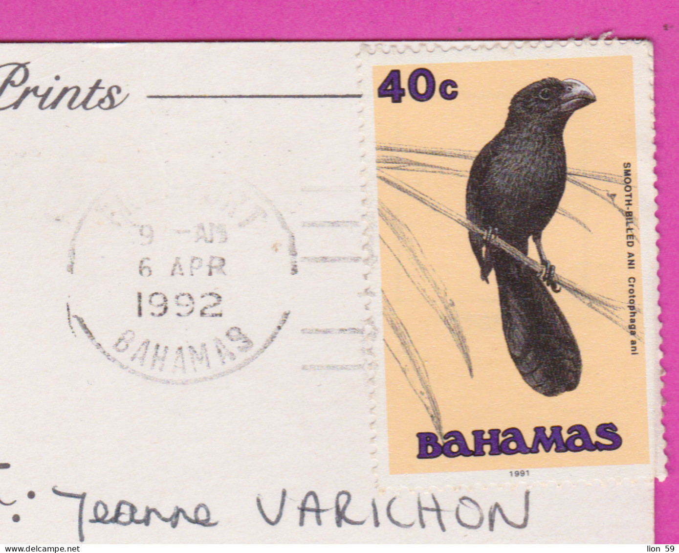 292381 / Bahamas Sunsets - Palm Ship Bridge PC USED (O) 1992 - 40c Birds Animals Smooth-billed Ani (Crotophaga Ani) - Bahamas