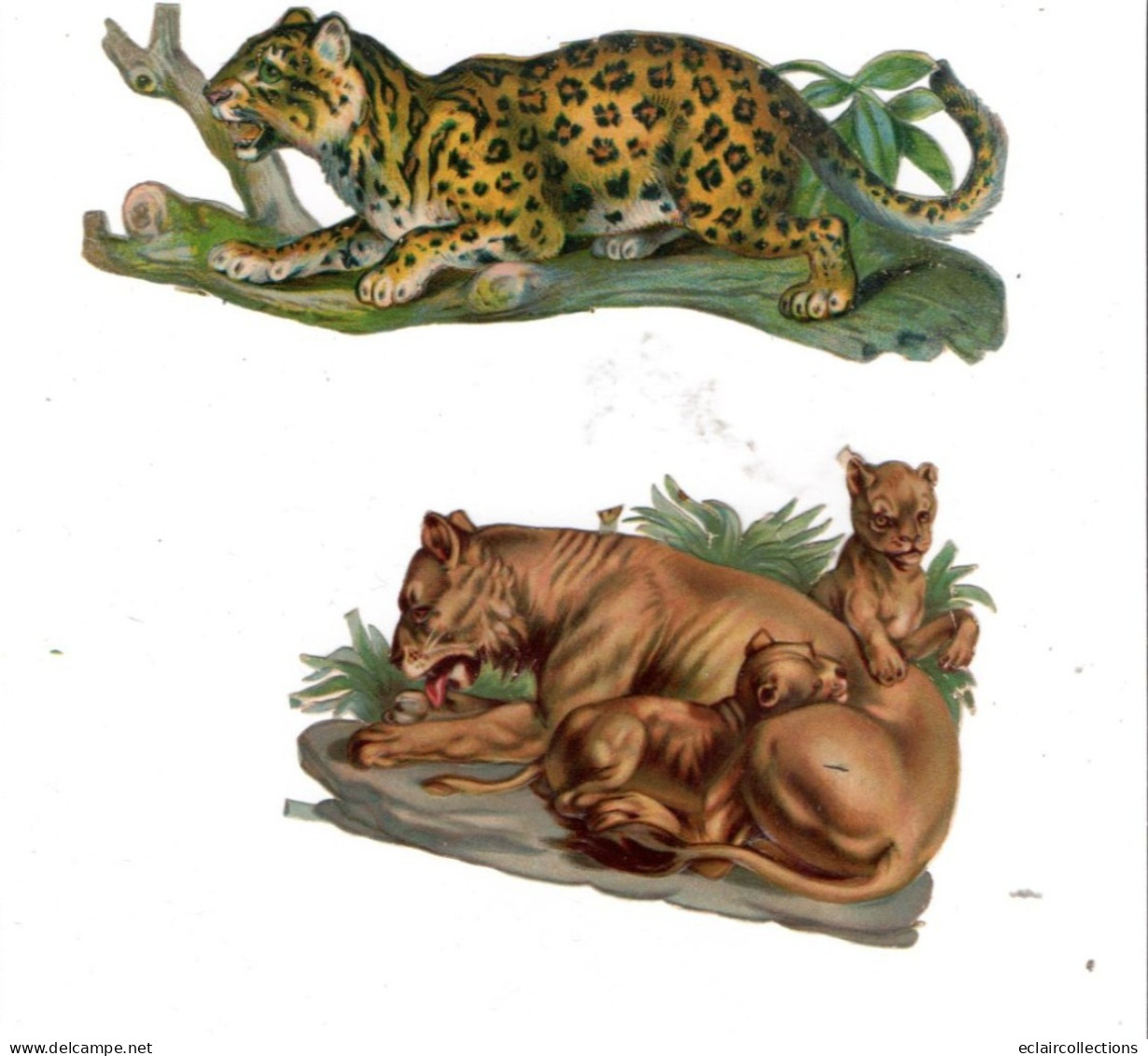 Chromos    Découpis.     2  Animaux Sauvages   Panthère Et Lionne    (voir Scan) - Animaux