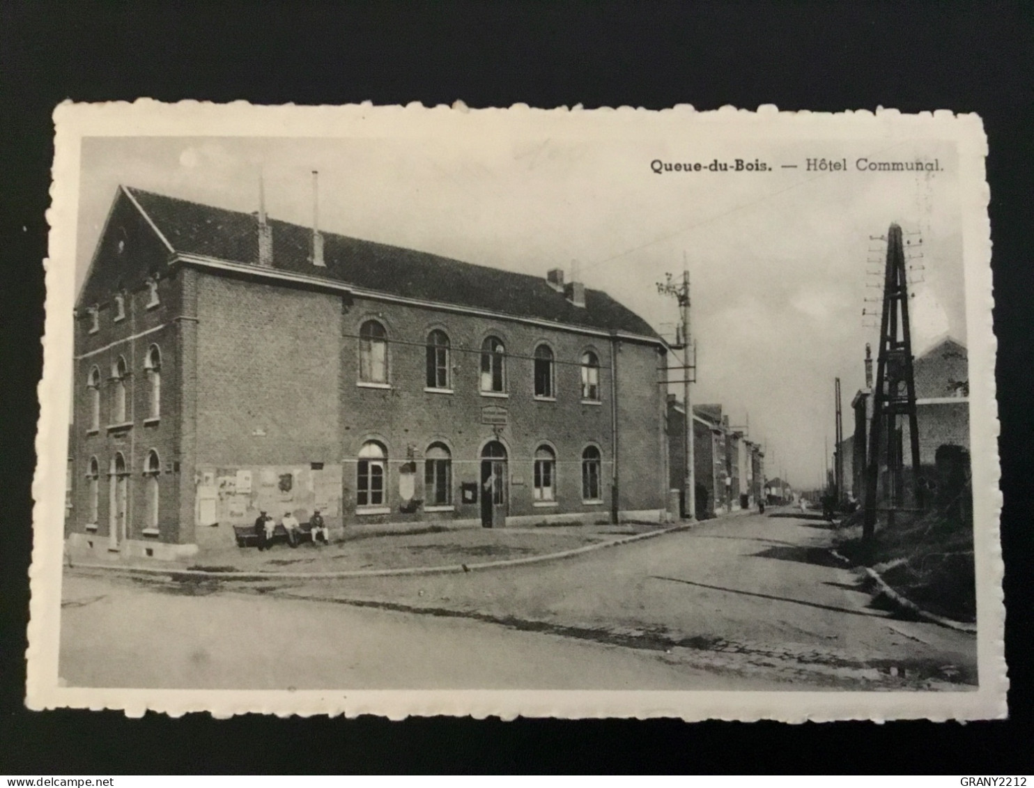 QUEUE - DU - BOIS «  HÔTEL COMMUNAL »PANORAMA,ANIMÉE. - Beyne-Heusay