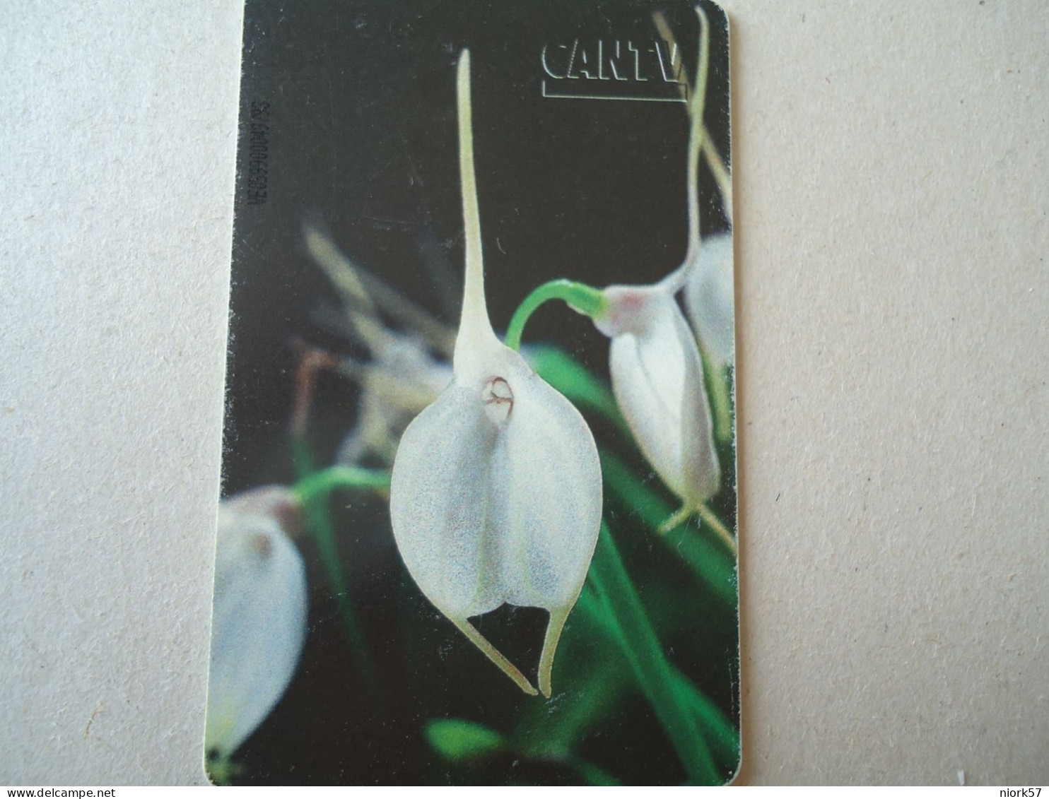 VENEZUELA USED CARDS FLOWERS ORCHIDS - Flores