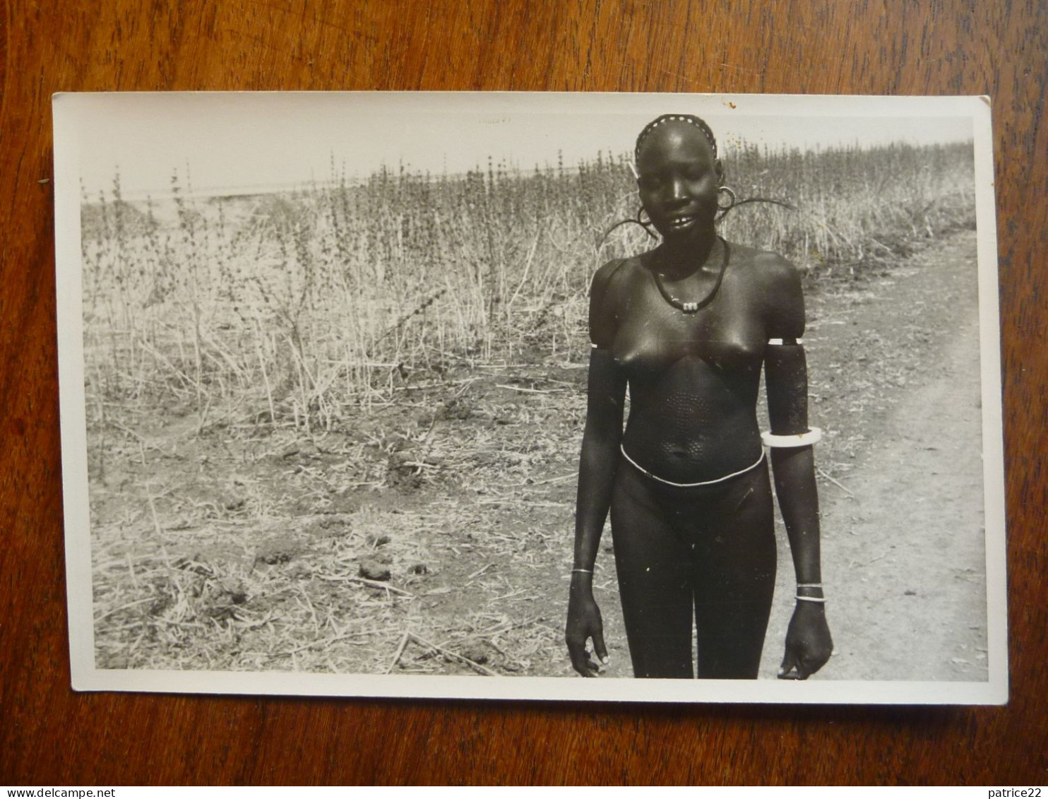 CPA Photo Originale Années 50 Agfa Brovira Non écrite - Jeune Femme Africaine Nue Dans La Brousse - Unclassified