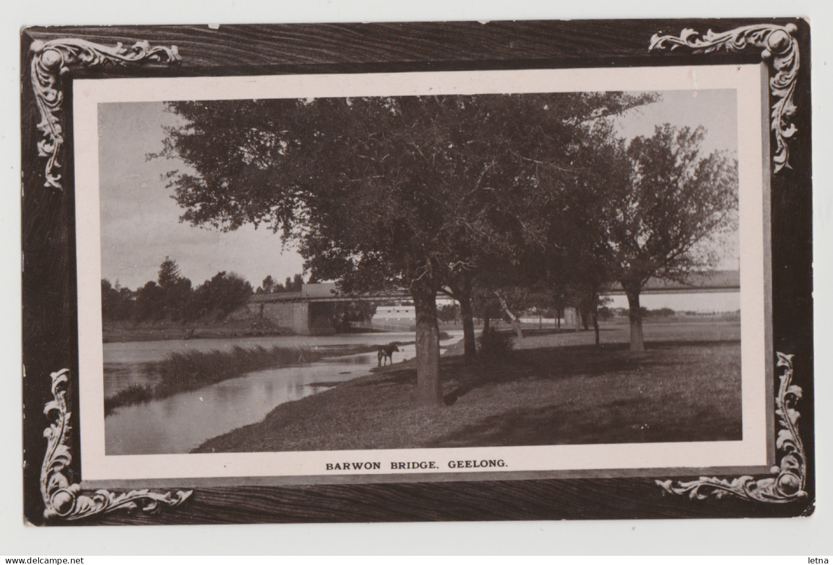 Australia VICTORIA VIC Barwon River Bridge GEELONG Thacker & Purdie Postcard C1908 - Geelong