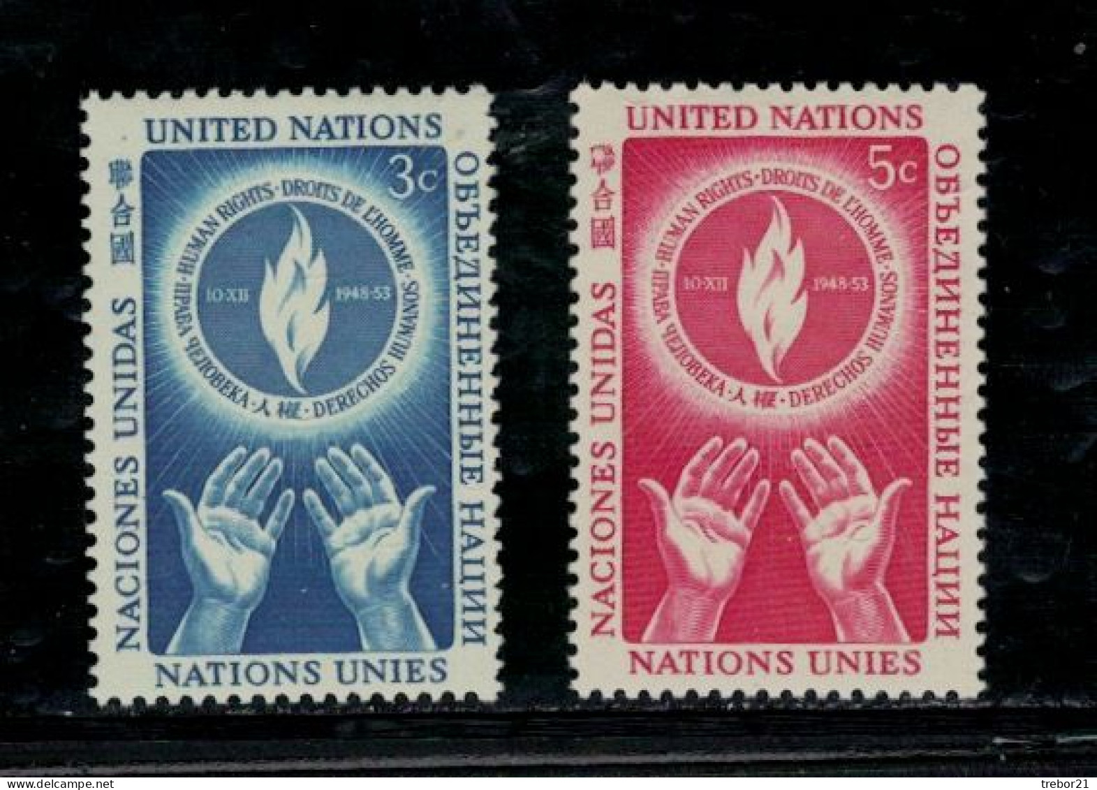 NATIONS UNIFS - NEW YORK  _yvert N° 21/22Droits De L'homme- - Ungebraucht