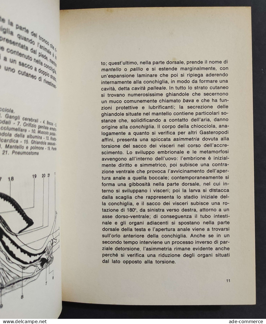 L'allevamento Redditizio Delle Lumache - F. M. Fazio - Ed. De Vecchi - 1976                                              - Animales De Compañía