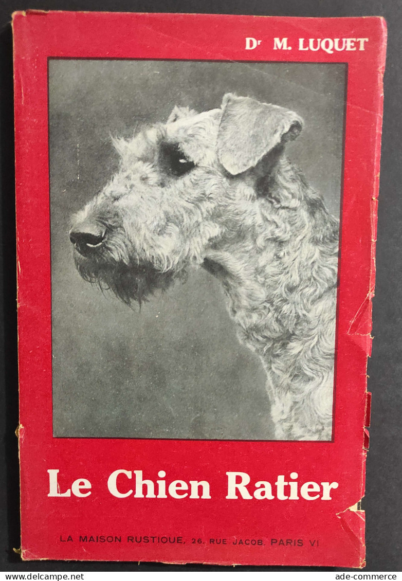 Le Chien Retier - M. Loquet                                                                                              - Animales De Compañía