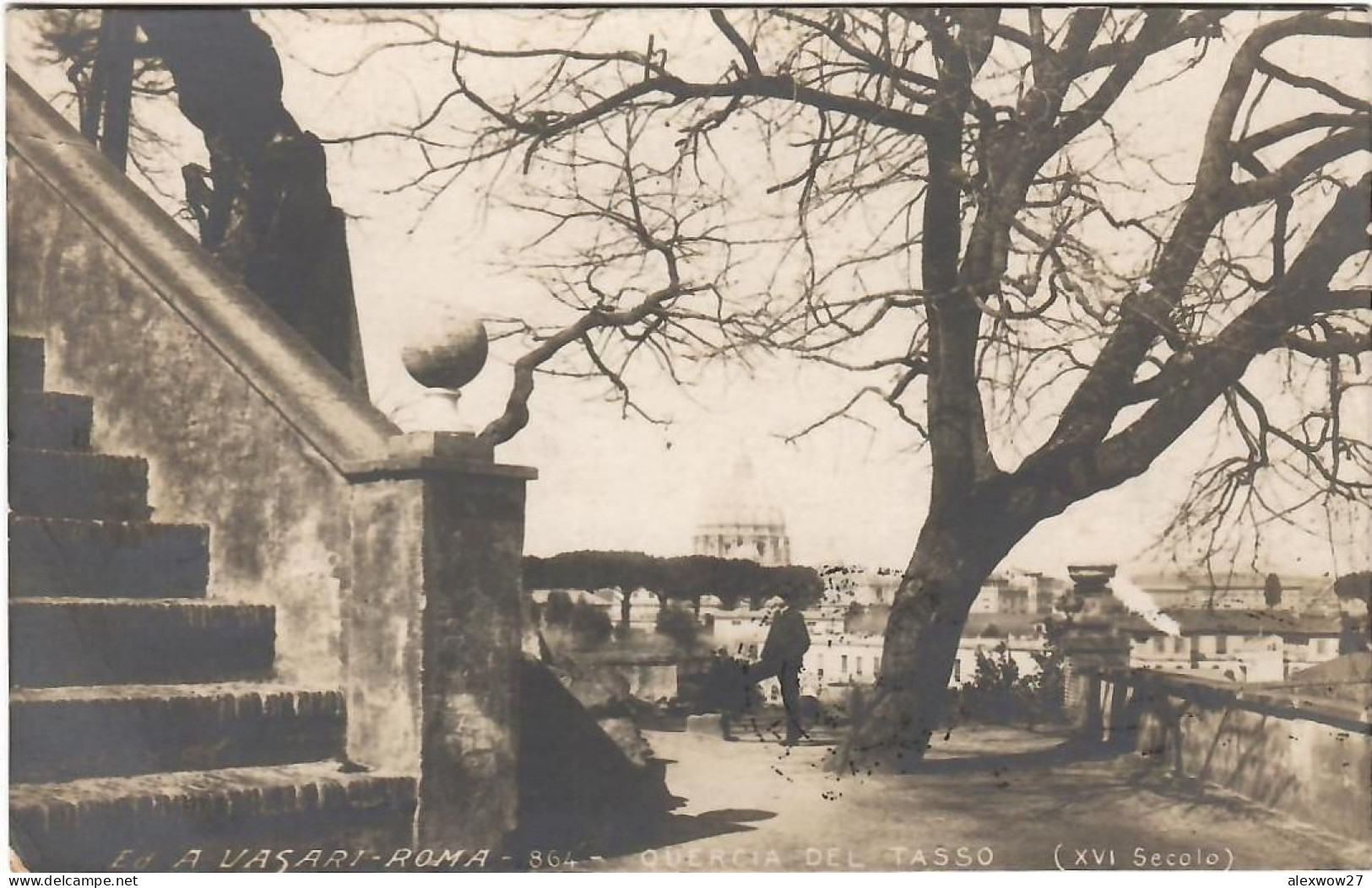 Roma 1923 Quercia Del Tasso Fotocartolina Viaggiata - Parks & Gärten