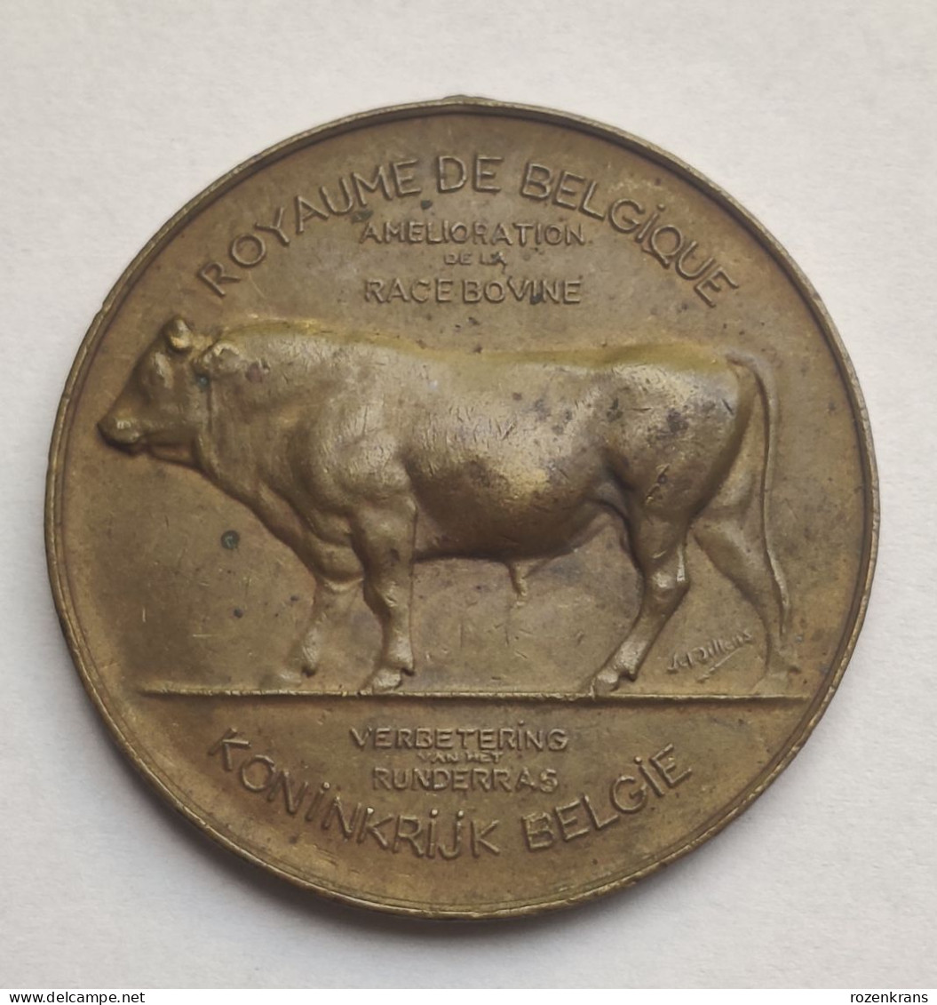 Oude Medaille CANTON BRABANT 1906 Ancienne Old Medal Jaarmarkt Prijskamp Koe Vache Cow Concours Agricole Race Bovine - Tokens Of Communes