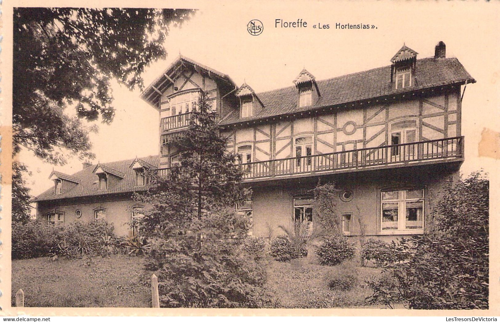 BELGIQUE - FLOREFFE - Les Hortensias - Carte Postale Ancienne - Floreffe