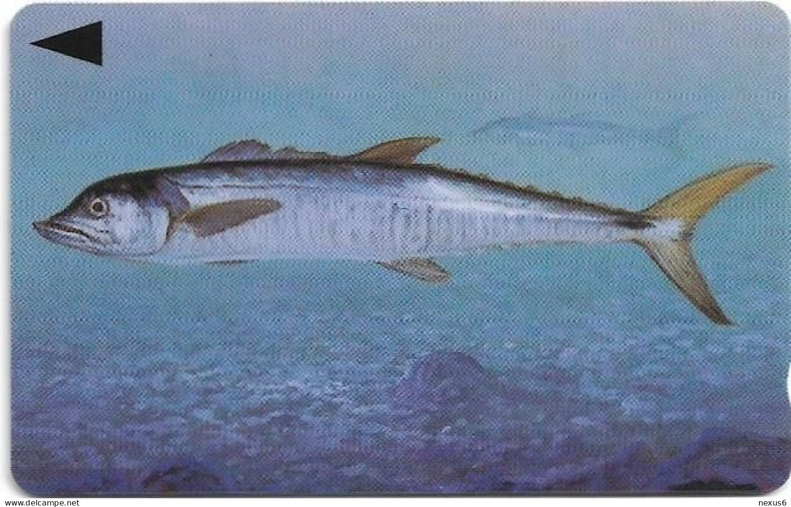 Bahrain - Batelco (GPT) - Fish Of Bahrain - Spanish Mackerel - 39BAHR (Normal 0), 1996, 50Units, Mint No Blister - Bahreïn