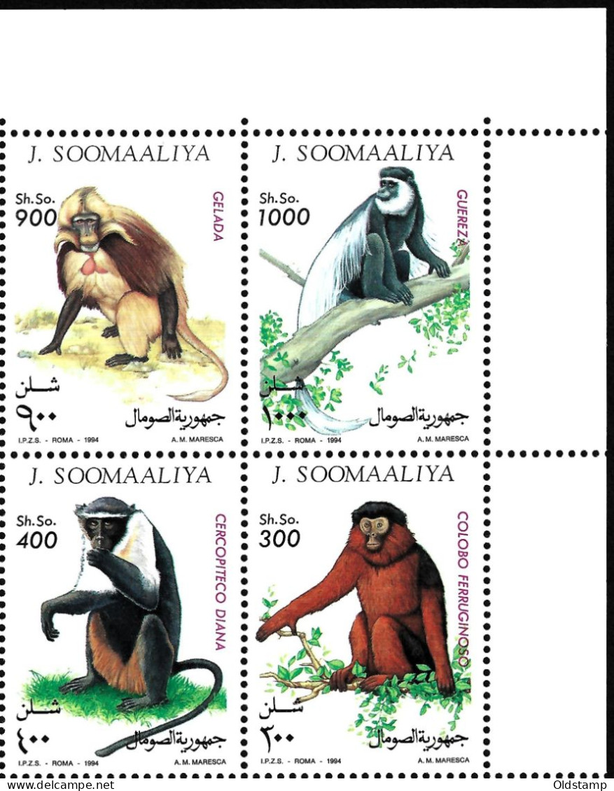 ANIMALS Somalia 1994 Monkeys MNH Full Set Chimpanzees Fauna Wild Life Luxery Stamps Mi. 520 - 523 Corner - Chimpansees