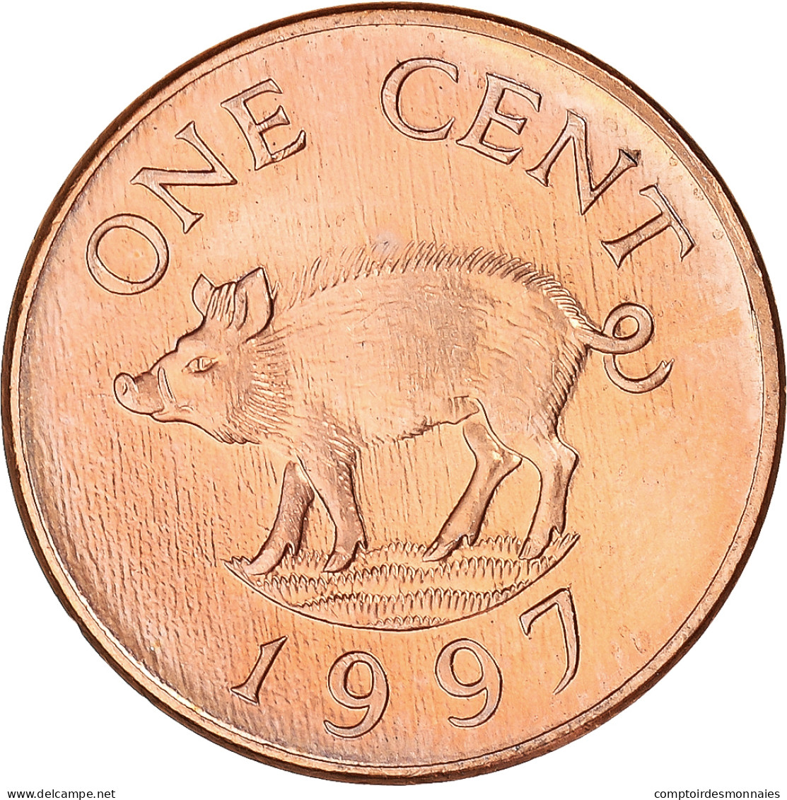 Monnaie, Bermudes, Cent, 1997 - Bermudes