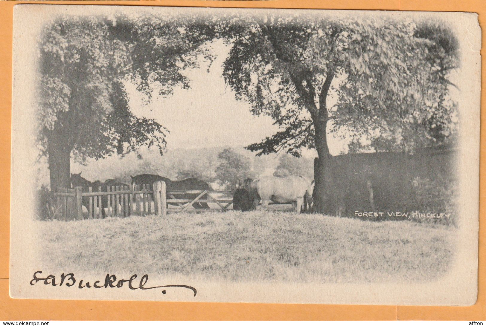 Hinckley UK 1905 Postcard - Autres & Non Classés