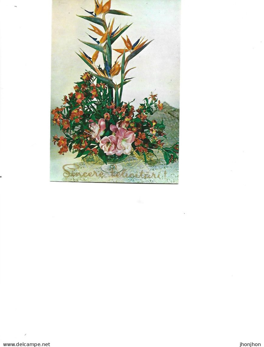 Romania  -  Postcard Unused   -  Flowers -    Lilies And Irises - Geneeskrachtige Planten