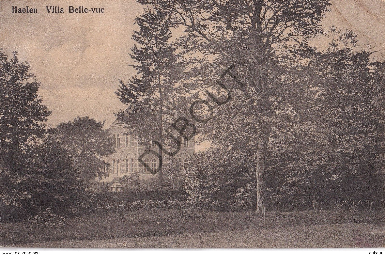 Postkaart/Carte Postale - Halen - Villa Belle Vue  (C4119) - Halen