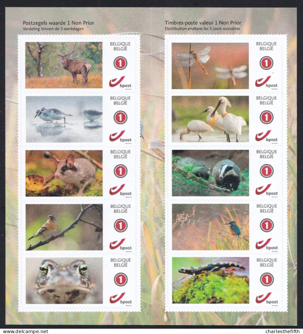 Belgium 2021 - FANTASTIC FAUNA  / Animals - ( DUOSTAMP ** MYSTAMP ** ) - Livret 10 TIMBRES ** Autocollants - Neufs