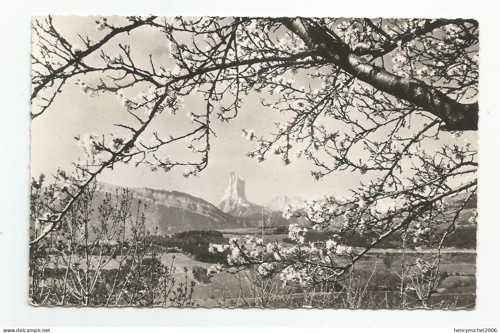 38 Isère Au Pays Du Mont Aiguille  Paysage De Printemps Dans Le Trièves - Clelles