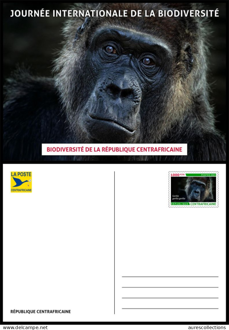 CENTRAL AFRICAN CENTRAFRICAINE 2023 - STATIONERY CARD - GORILLAS GORILLA GORILLE GORILLES APES - BIODIVERSITY - Gorilles